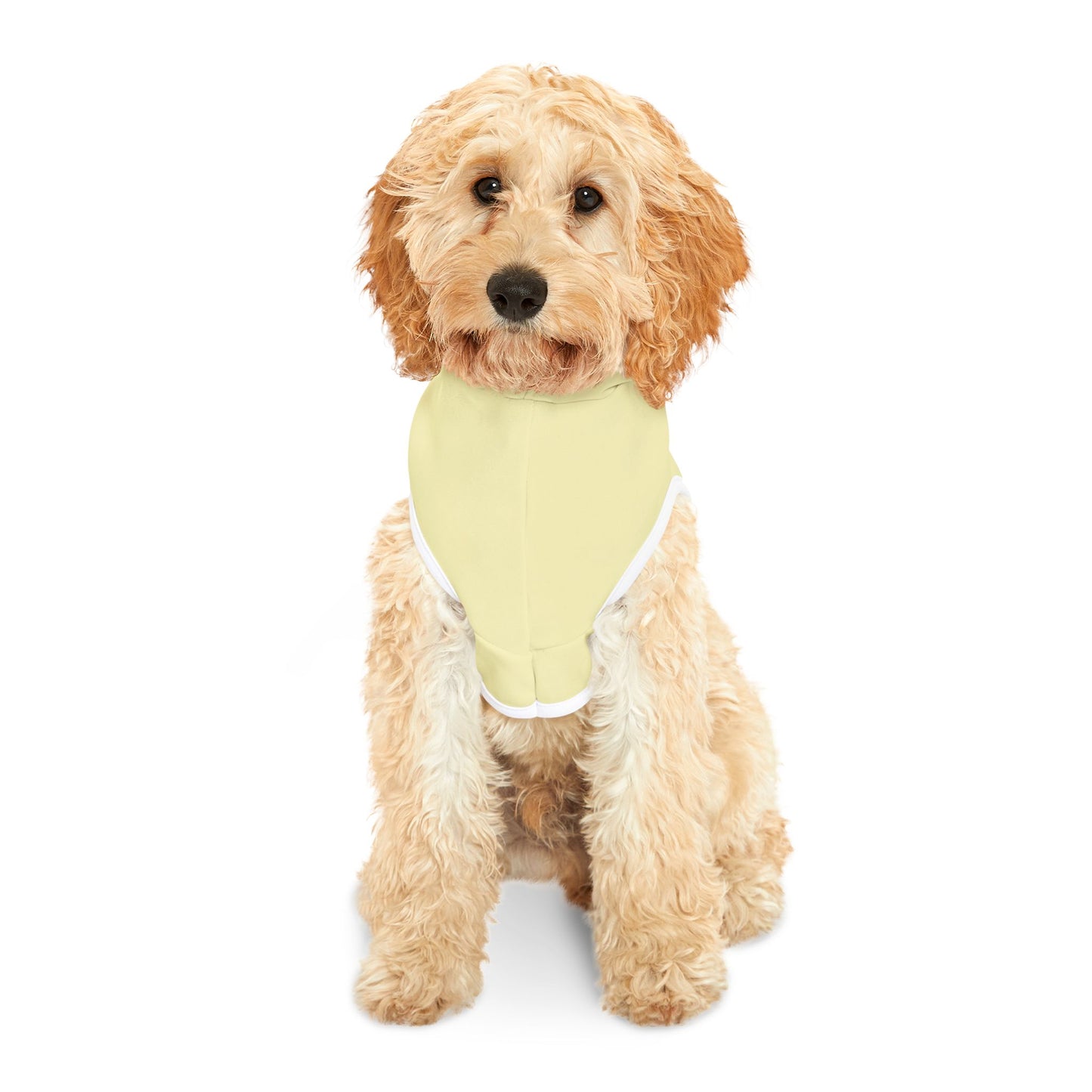 Pet Hoodie - Yellow