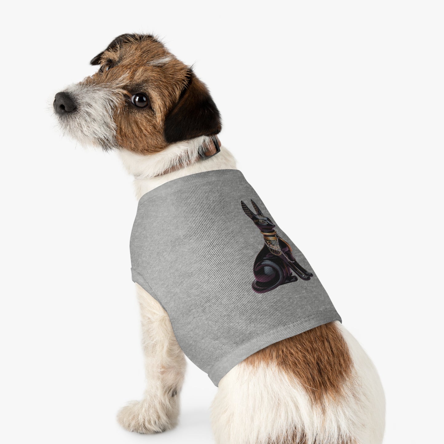 Anubis Y2K Statue Pet Tank Top (IMG-003)