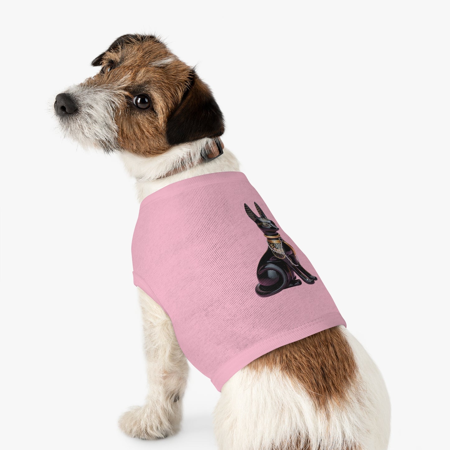 Anubis Y2K Statue Pet Tank Top (IMG-003)