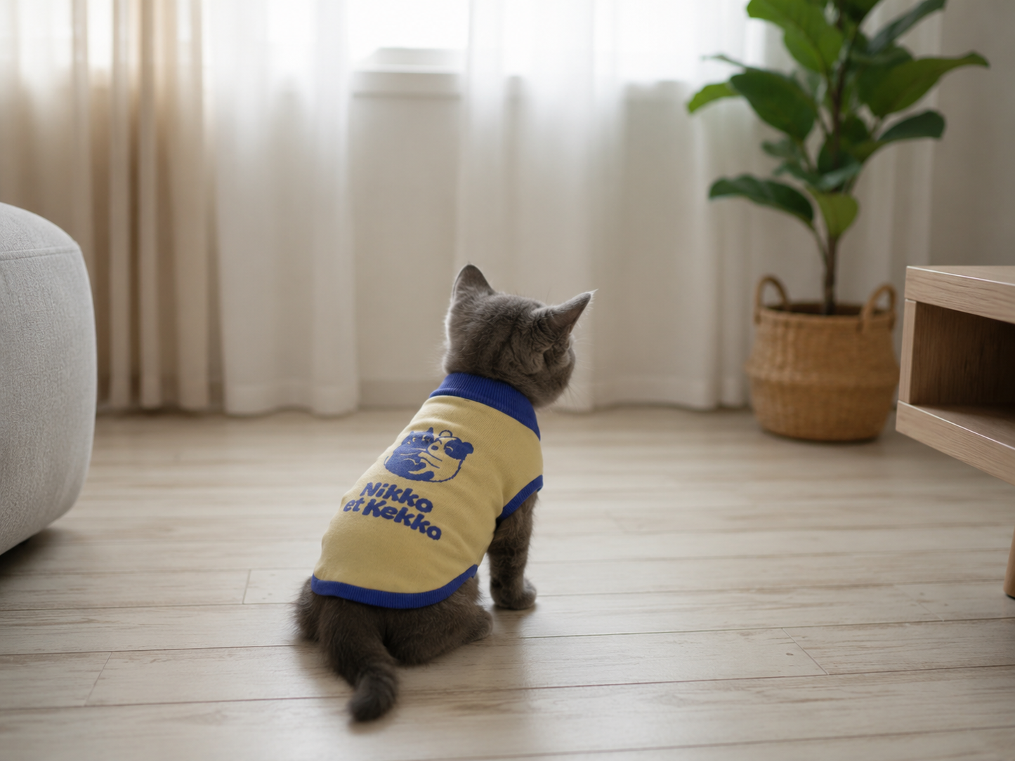 Knitted pet sweater
